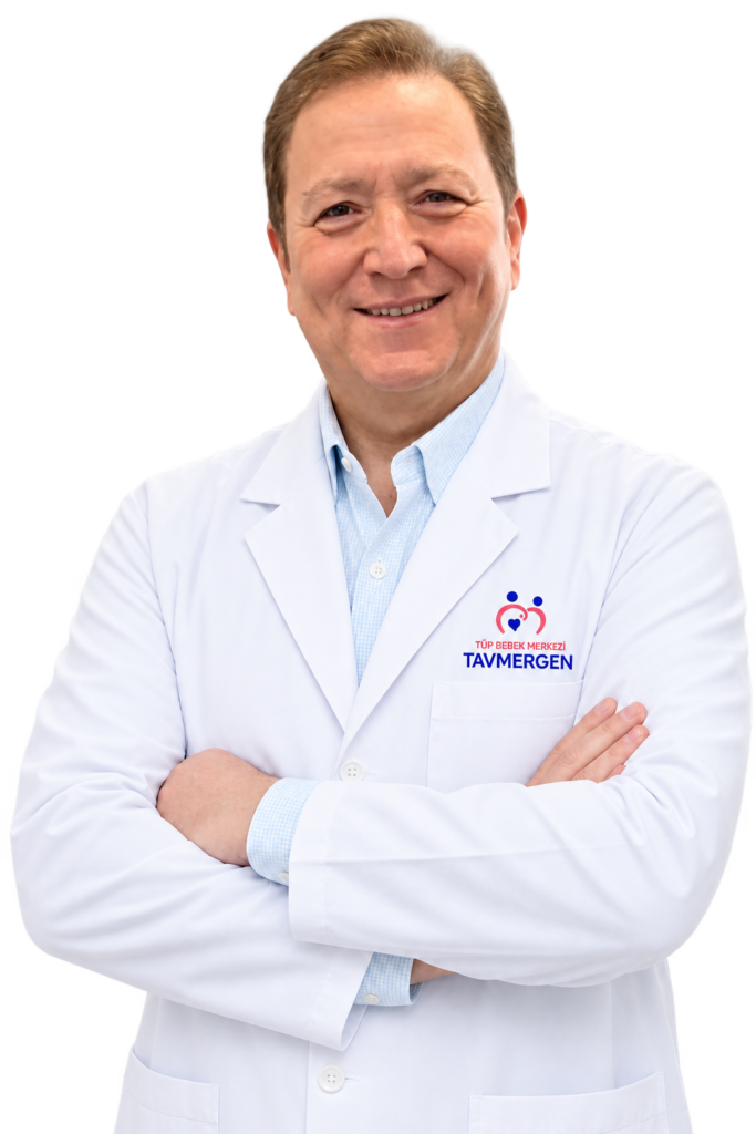 Prof. Dr. Erol Tavmergen