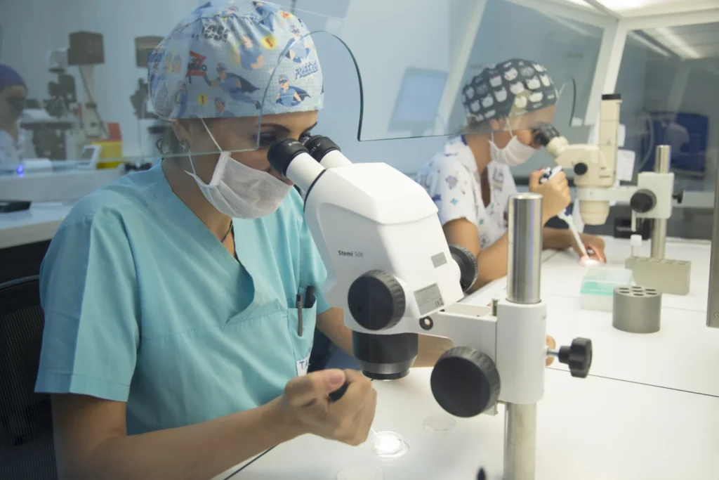 Tavmergen IVF tüp bebek laboratuvarından bir görünüm